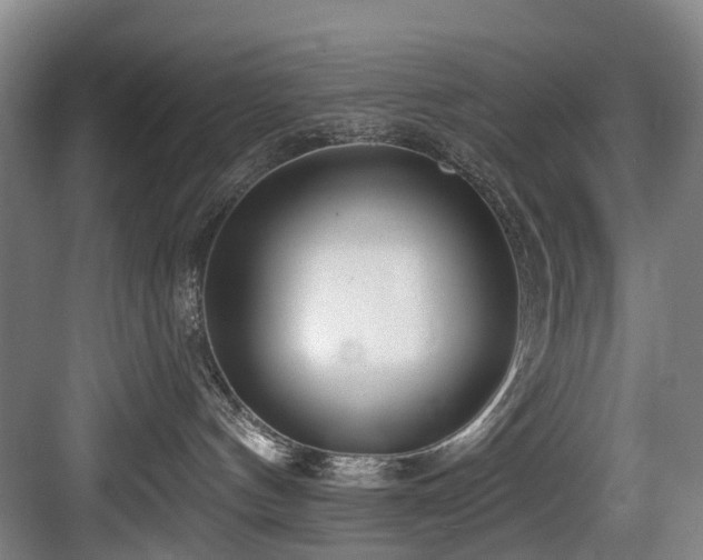 X0000083990144200702161142