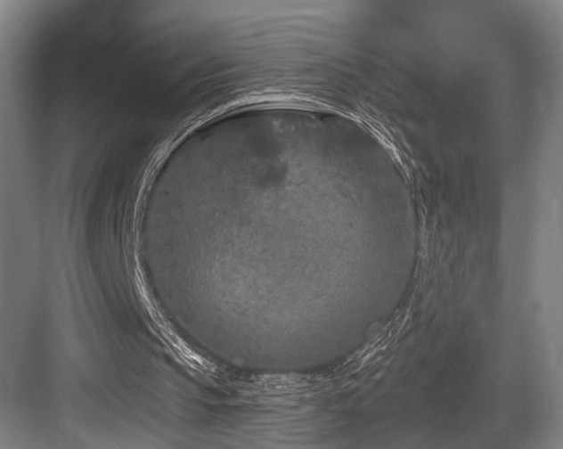 X0000083990145200702161141