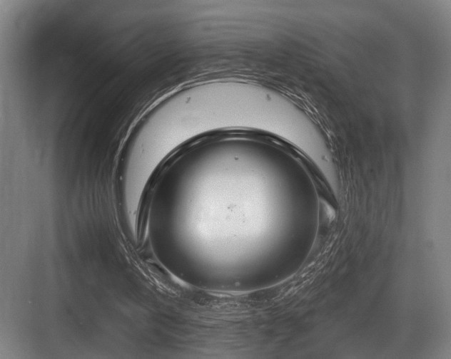 X0000083990146200702161141