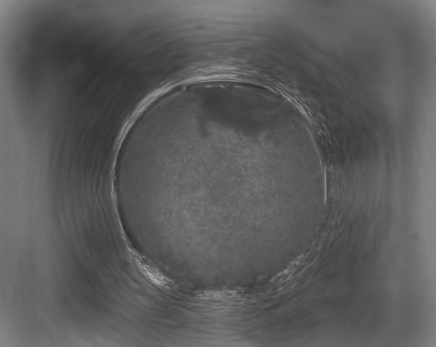 X0000083990147200702161141