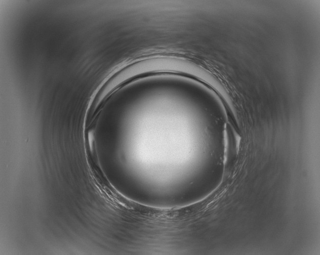 X0000083990148200702161141