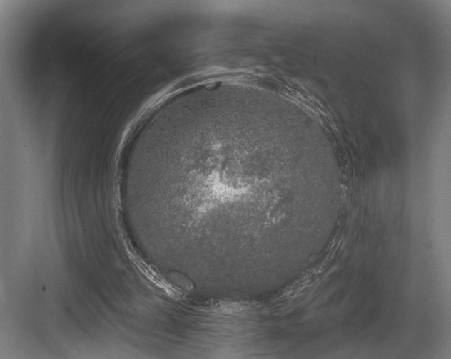 X0000083990149200702161141