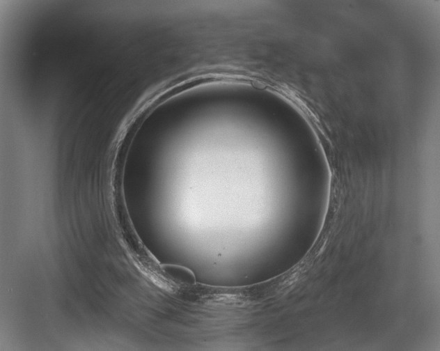 X0000083990151200702161141