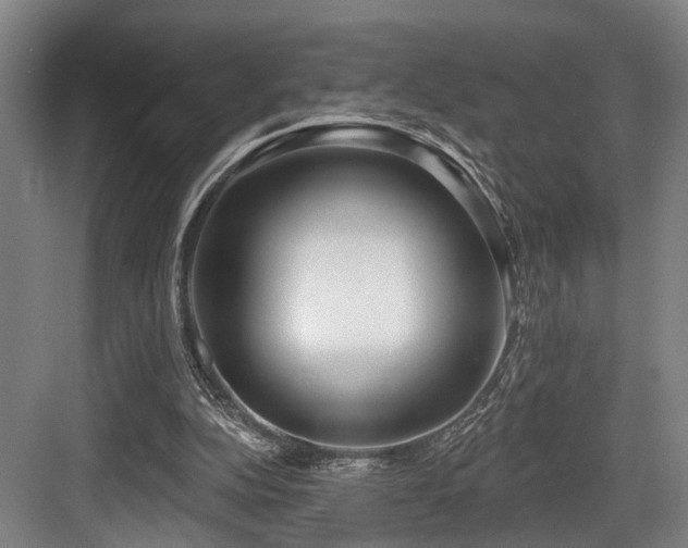 X0000083990152200702161141