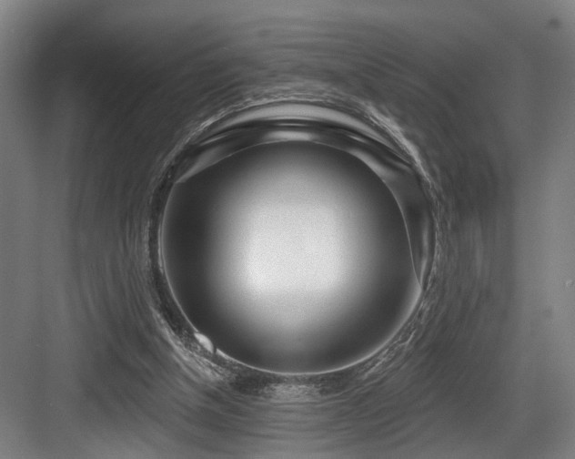 X0000083990154200702161141