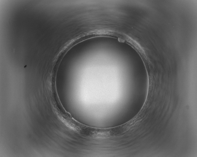 X0000083990155200702161141