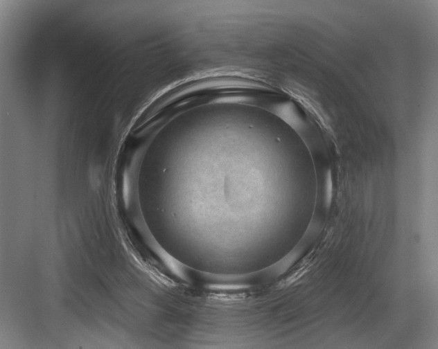 X0000083990156200702161141