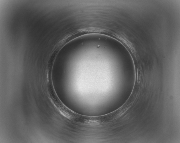 X0000083990157200702161141