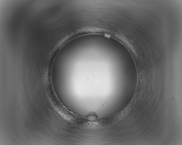 X0000083990159200702161141