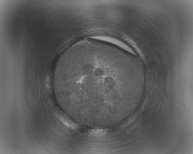 X0000083990161200702161141