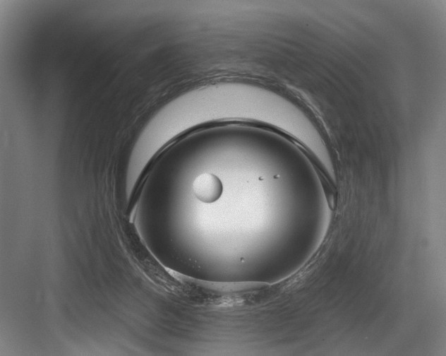 X0000083990162200702161141