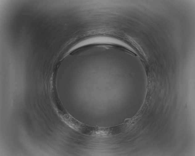 X0000083990163200702161141