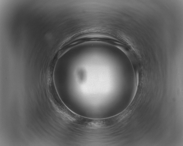 X0000083990164200702161141