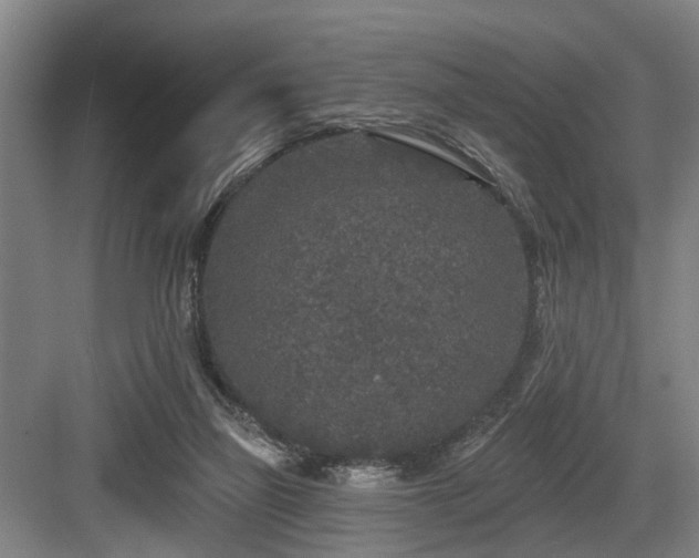 X0000083990165200702161141