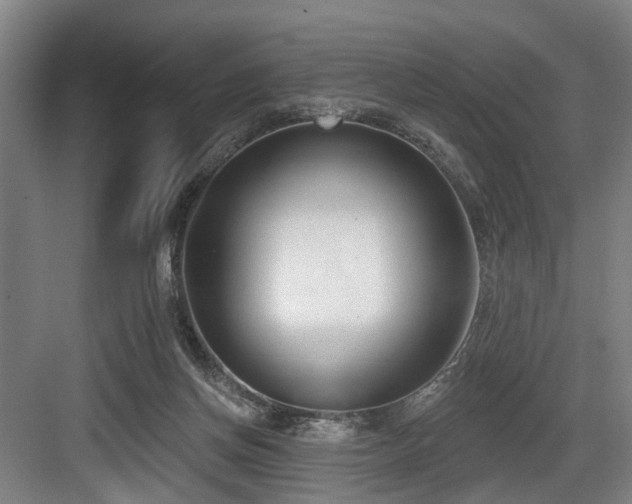 X0000083990166200702161141