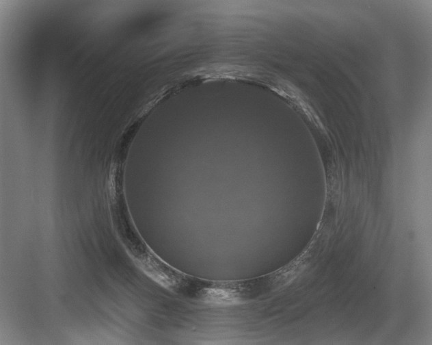 X0000083990167200702161141