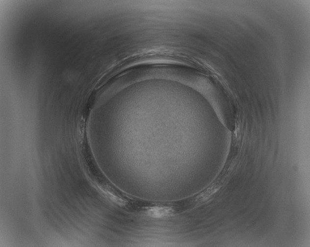 X0000083990168200702161141