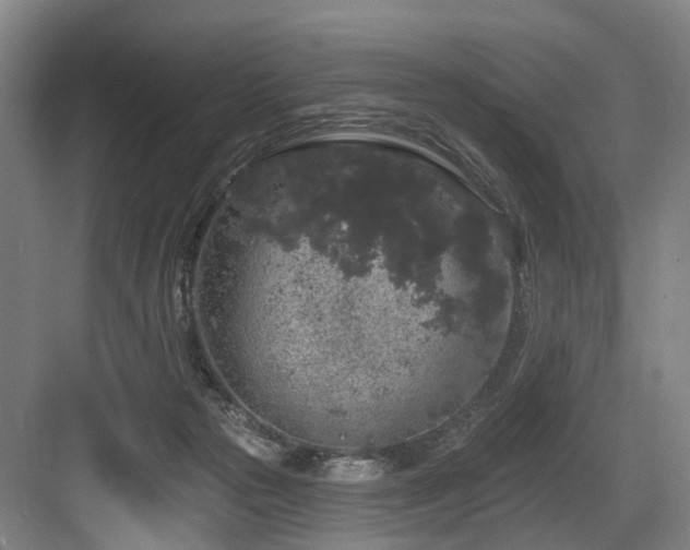 X0000083990169200702161142