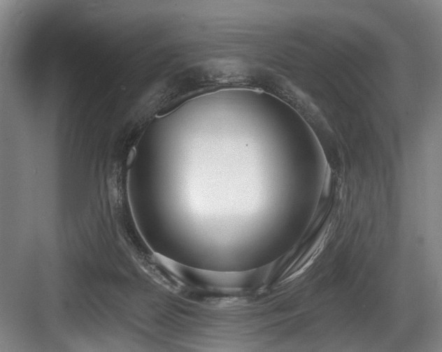 X0000083990170200702161142