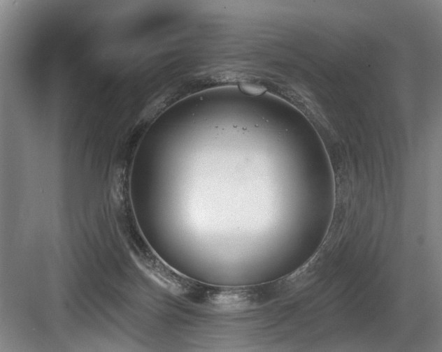 X0000083990171200702161142