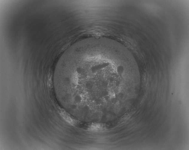 X0000083990177200702161142