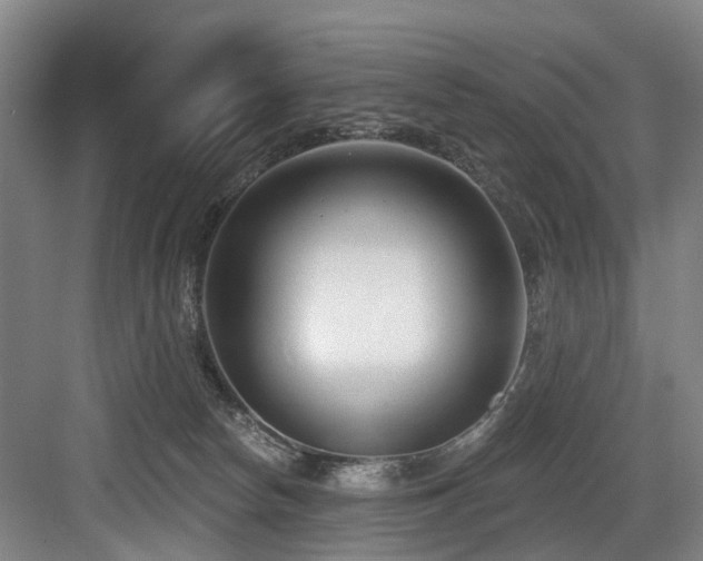 X0000083990178200702161142