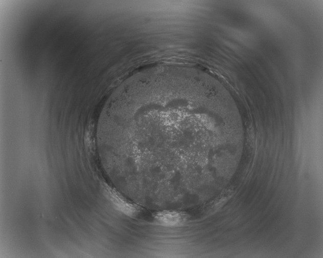 X0000083990181200702161142