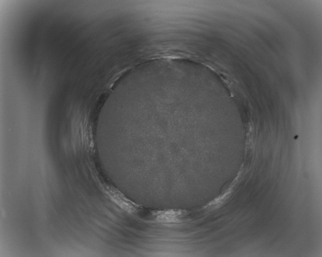 X0000083990182200702161142