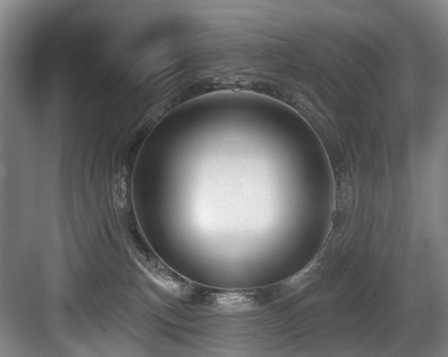 X0000083990183200702161142