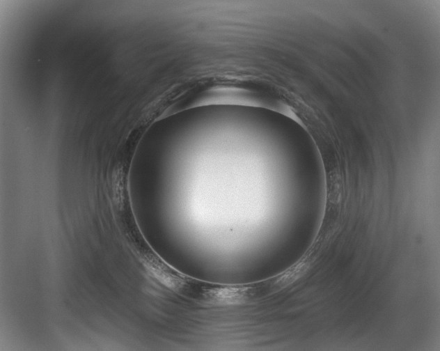 X0000083990184200702161142