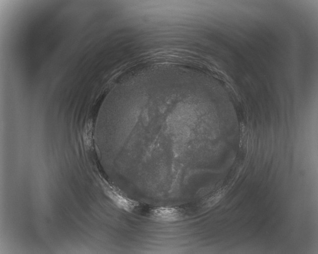 X0000083990189200702161142