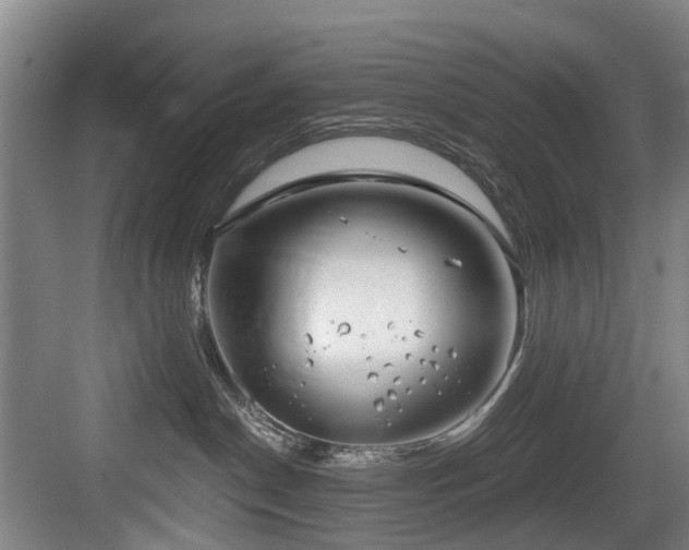 X0000083990190200702161142