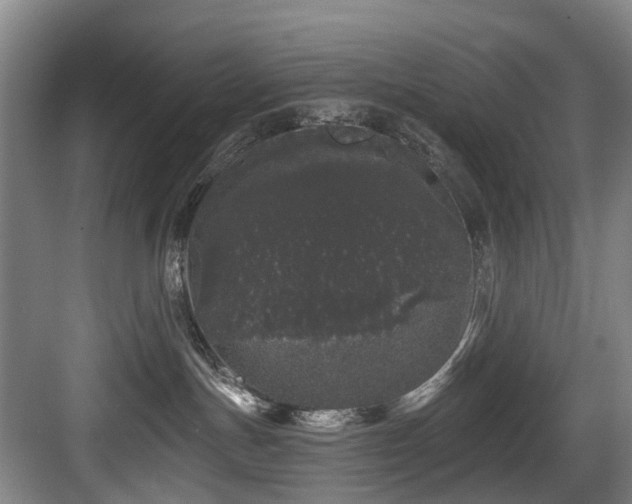 X0000083990191200702161142