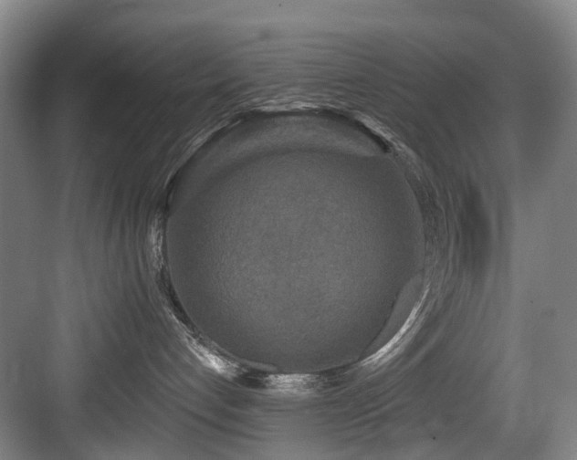 X0000083990192200702161142