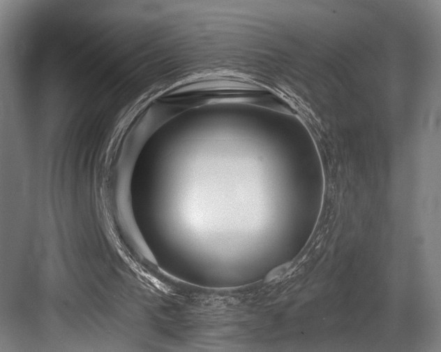 X0000083990193200702161141