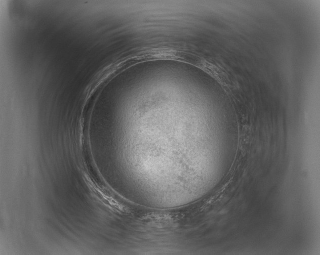 X0000083990194200702161141