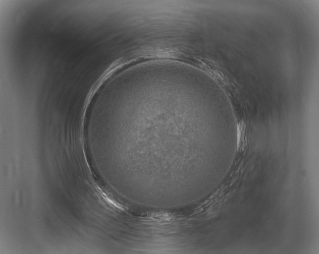 X0000083990195200702161141