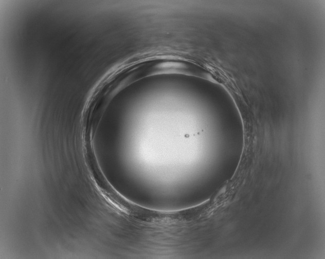 X0000083990197200702161141