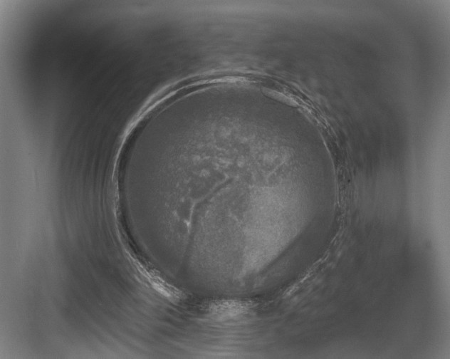 X0000083990198200702161141