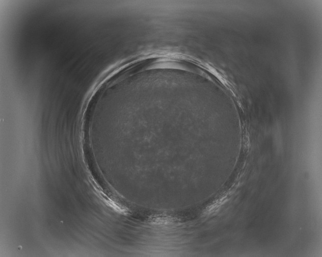 X0000083990199200702161141