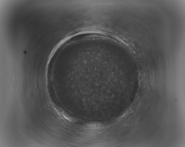 X0000083990200200702161141