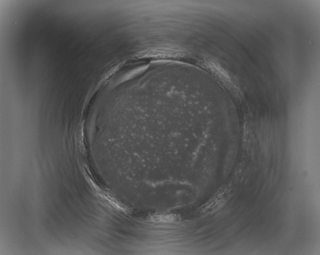 X0000083990202200702161141