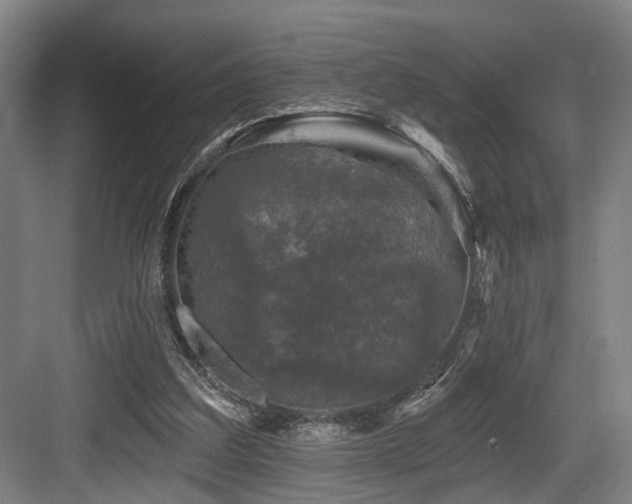 X0000083990203200702161141