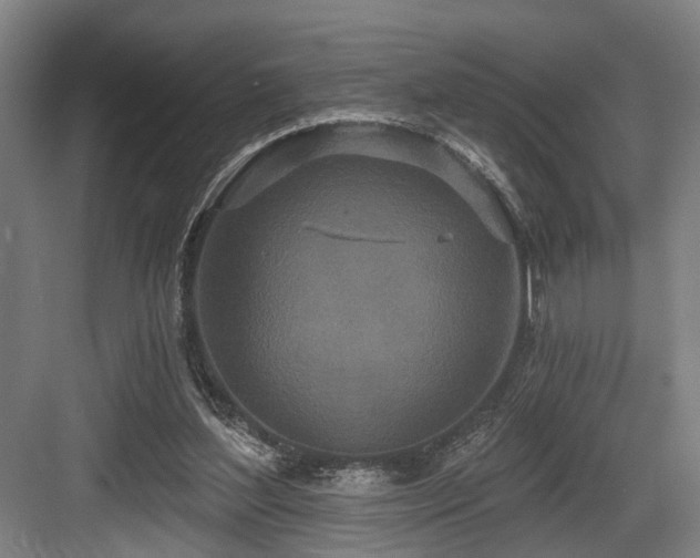 X0000083990204200702161141