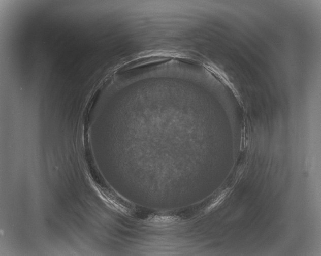 X0000083990205200702161141