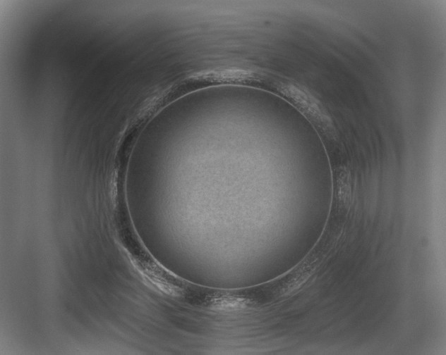 X0000083990206200702161141