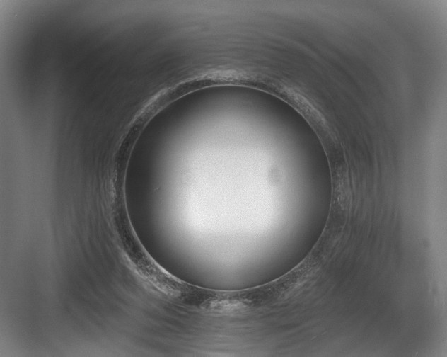 X0000083990208200702161141