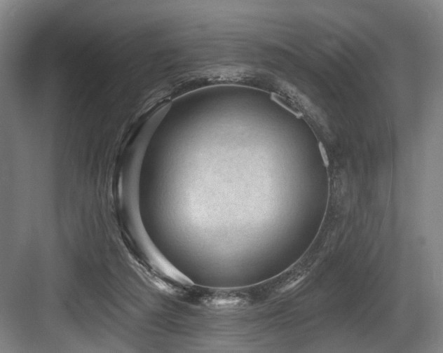 X0000083990209200702161141