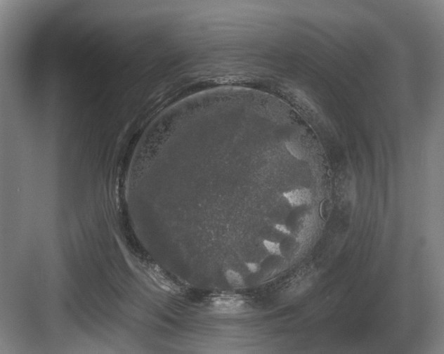 X0000083990214200702161141