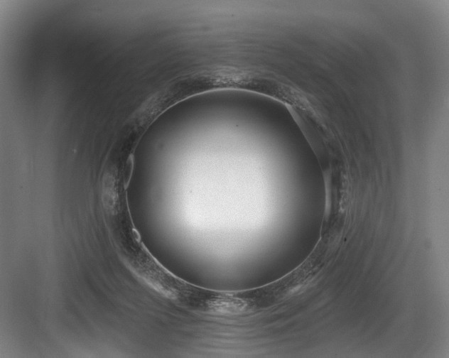 X0000083990215200702161141